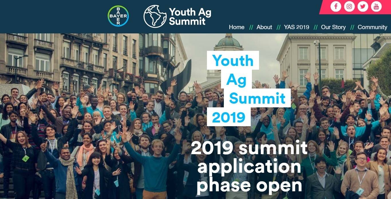 YAGS19|cereals-480691_960_720